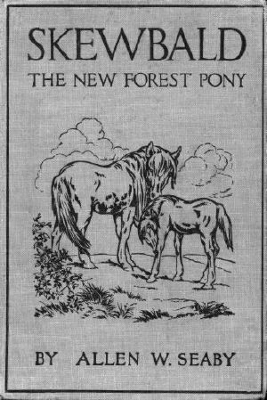 [Gutenberg 58873] • Skewbald, the New Forest Pony